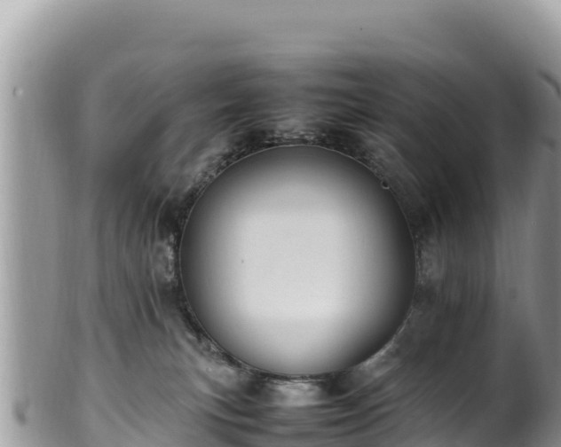 X0000102250183200808011319