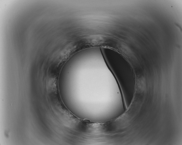 X0000102250184200808011319