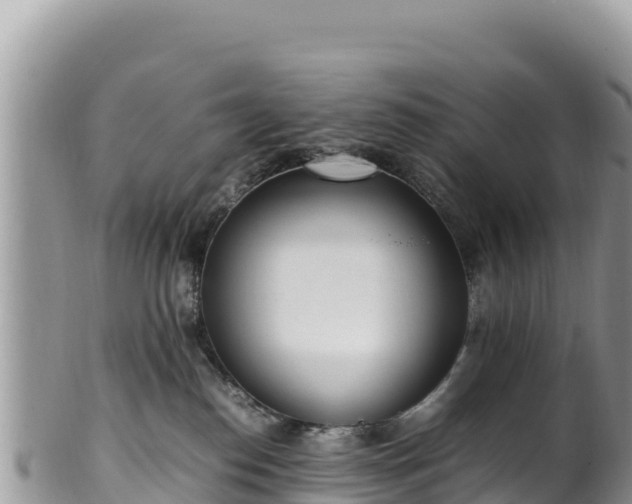 X0000102250186200808011319