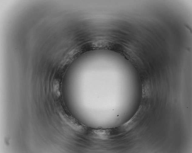 X0000102250187200808011319