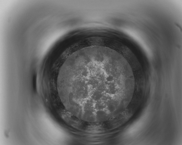 X0000102250189200808011319