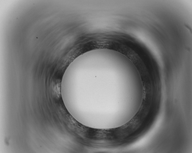 X0000102250190200808011319