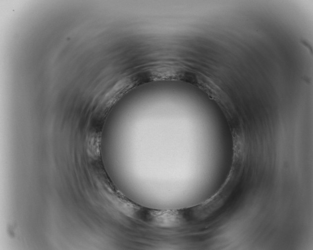 X0000102250191200808011319