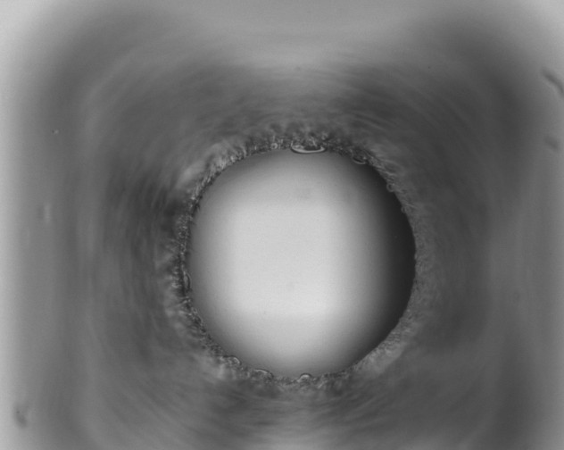 X0000102250192200808011319