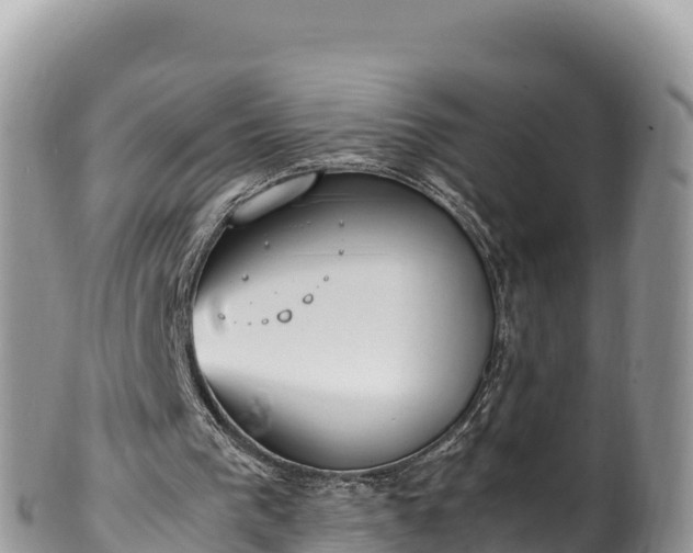 X0000102250193200808011319