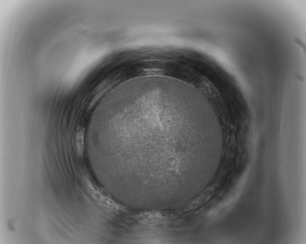 X0000102250194200808011319