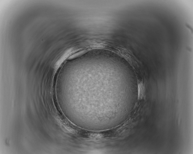 X0000102250195200808011319