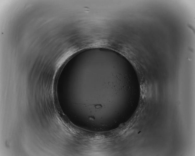 X0000102250196200808011319