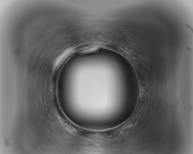 X0000102250197200808011318