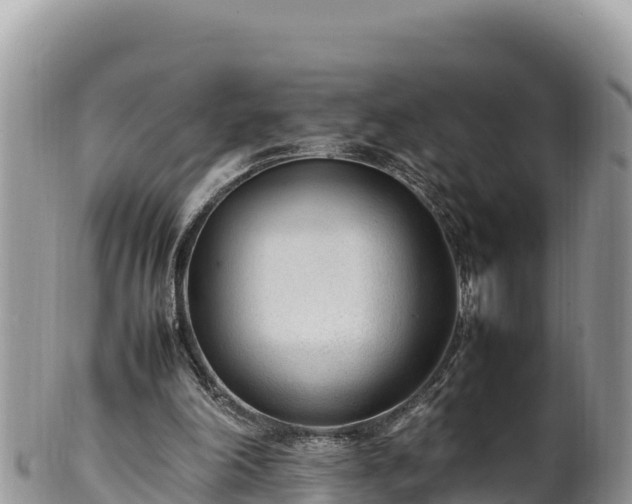 X0000102250198200808011318