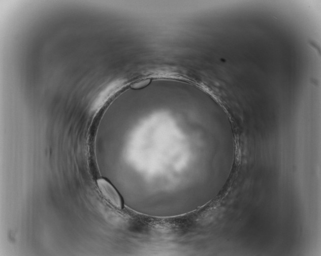 X0000102250199200808011318