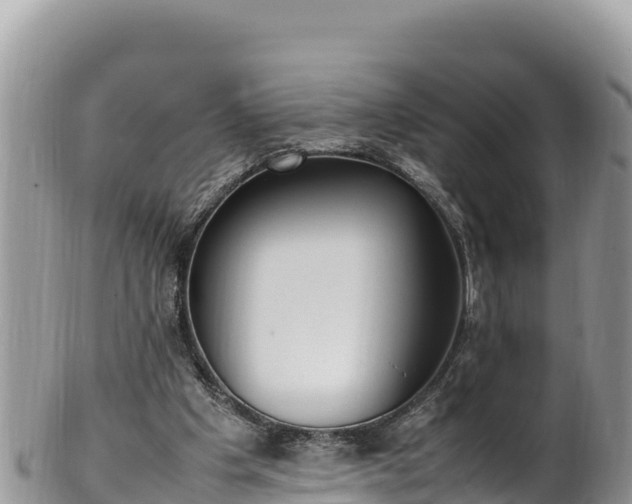 X0000102250201200808011318