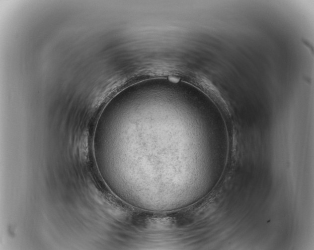 X0000102250202200808011318