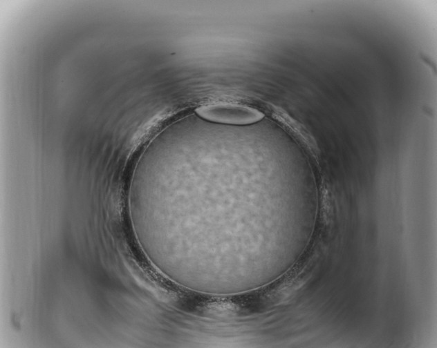 X0000102250203200808011318