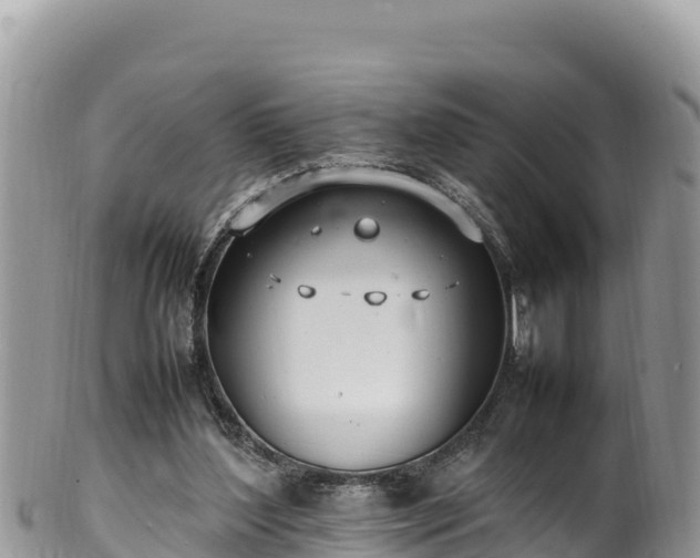 X0000102250204200808011318