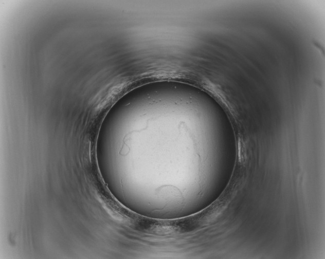 X0000102250205200808011318