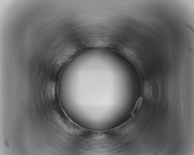 X0000102250206200808011318