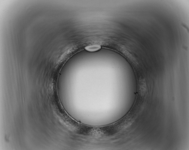 X0000102250207200808011318