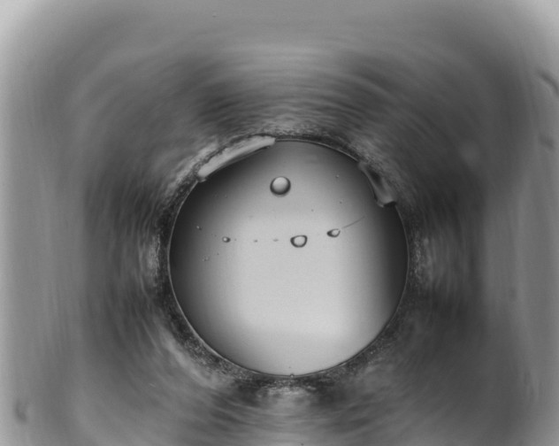 X0000102250208200808011318