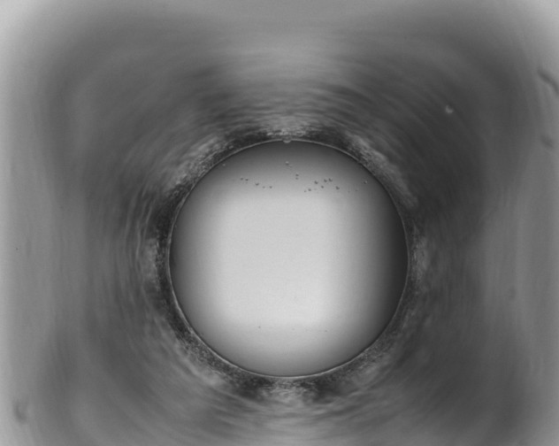 X0000102250209200808011318