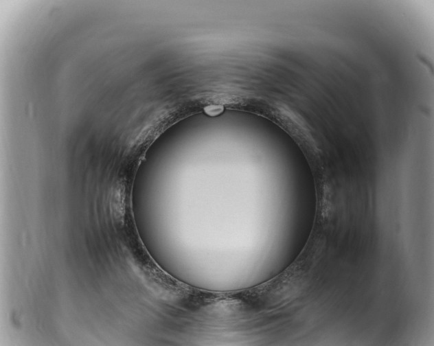 X0000102250210200808011318