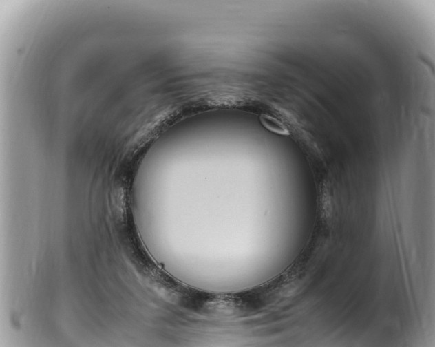 X0000102250211200808011318