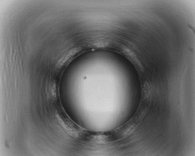 X0000102250212200808011318