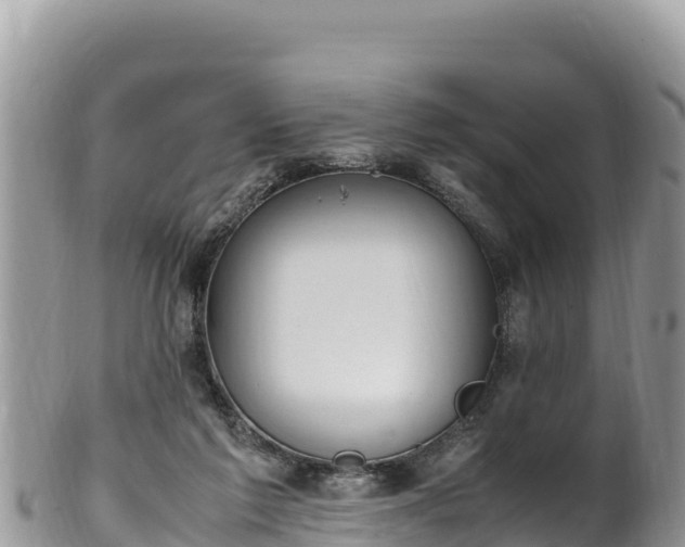 X0000102250213200808011318