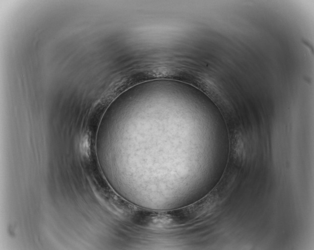 X0000102250214200808011318