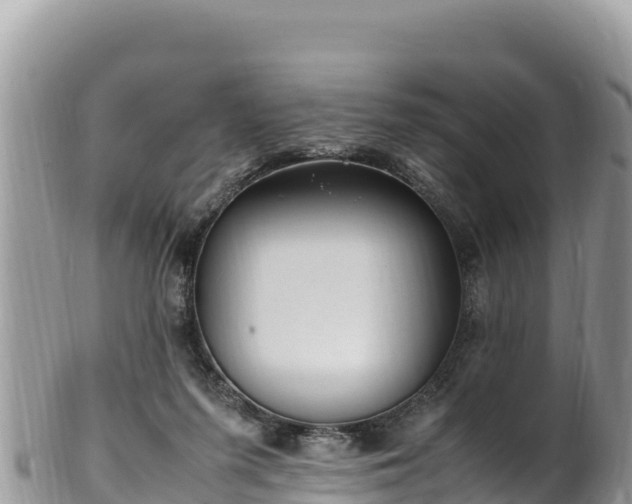 X0000102250215200808011318