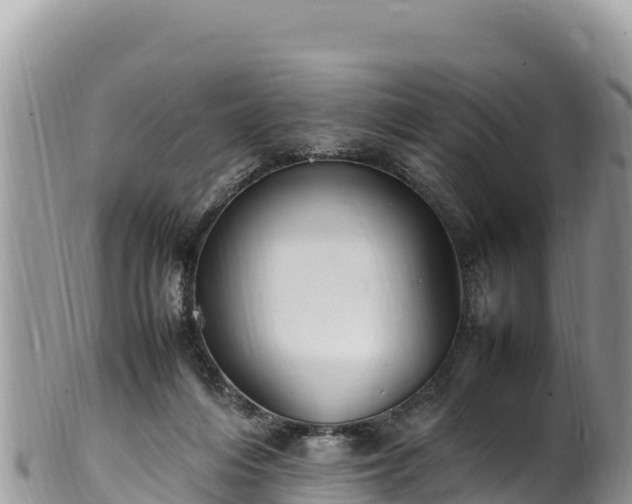 X0000102250216200808011318