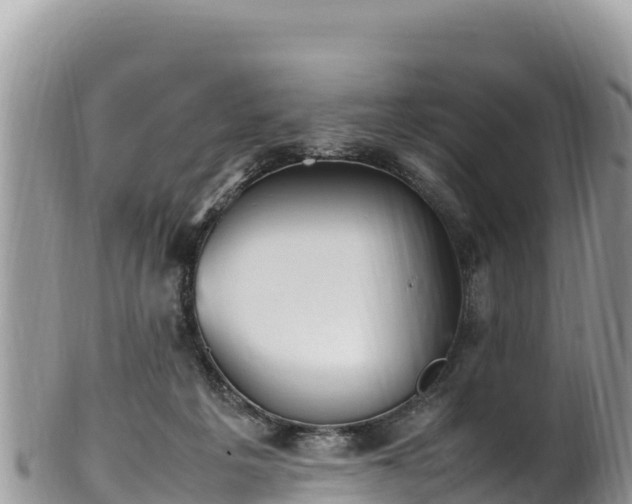 X0000102250217200808011318