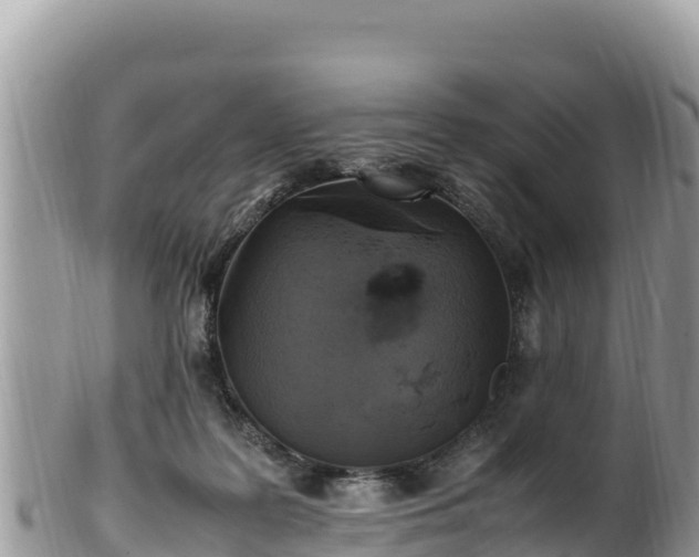 X0000102250219200808011318