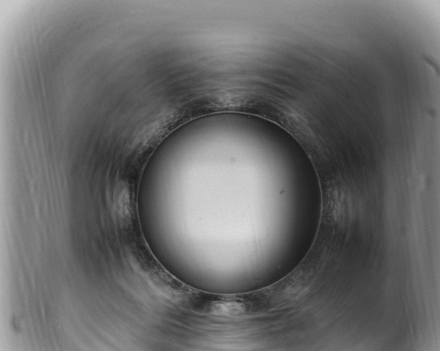 X0000102250220200808011318