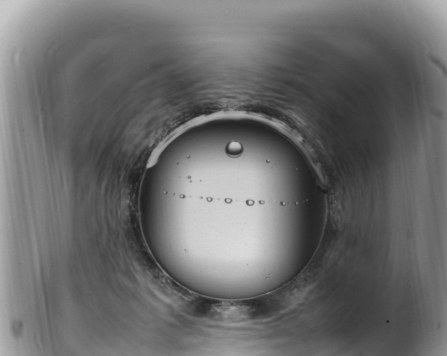 X0000102250221200808011318