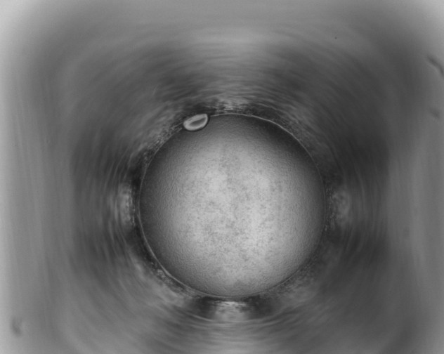 X0000102250222200808011318