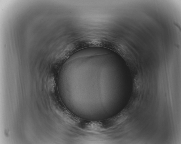 X0000102250223200808011318