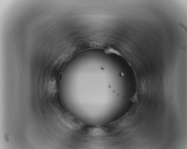 X0000102250224200808011318