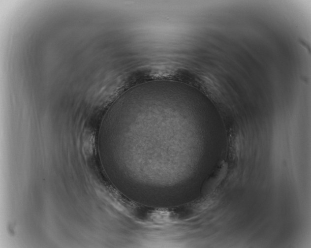 X0000102250227200808011318