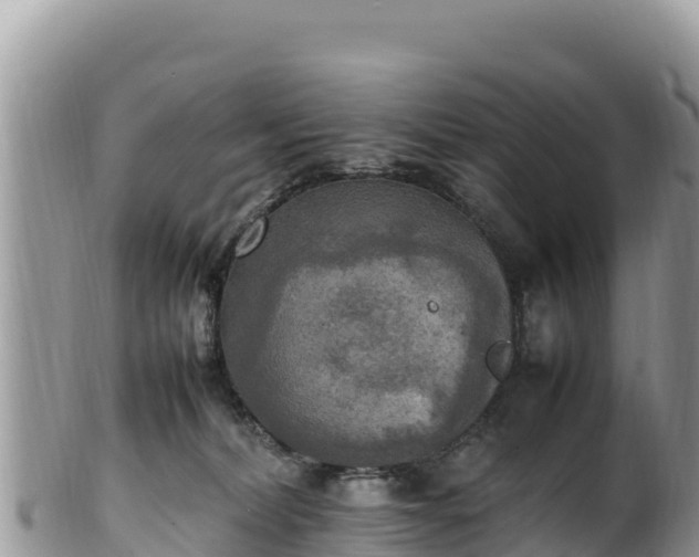 X0000102250228200808011318