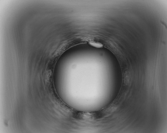 X0000102250229200808011318