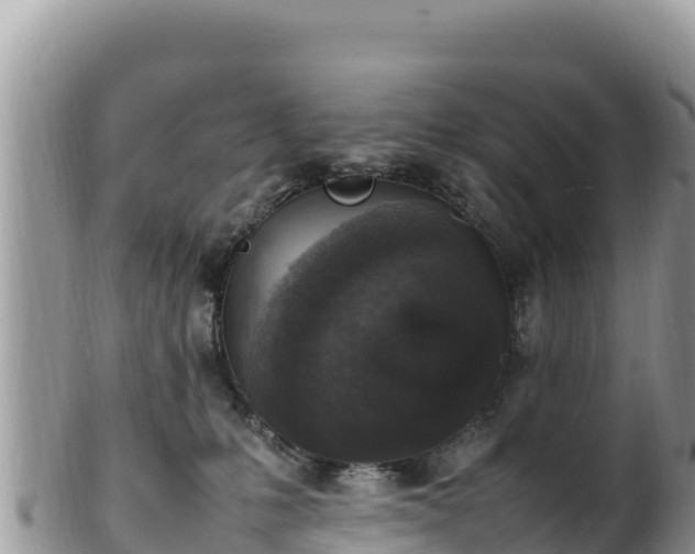 X0000102250231200808011318