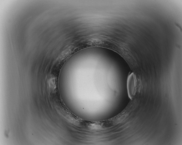 X0000102250232200808011318