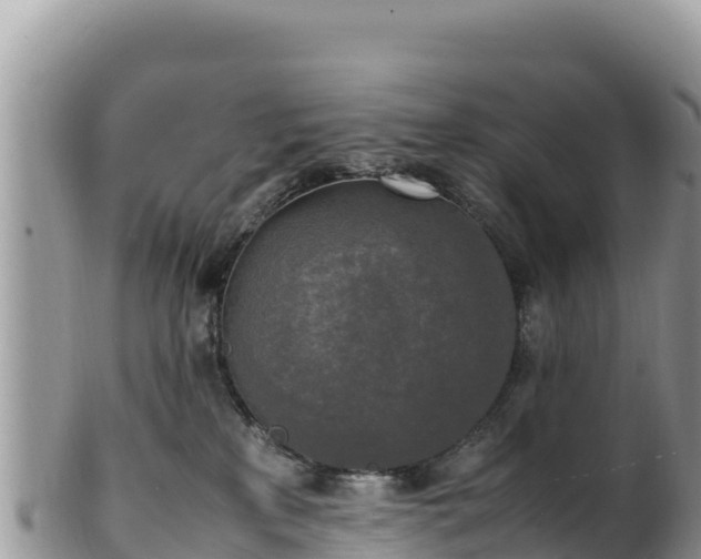 X0000102250233200808011318