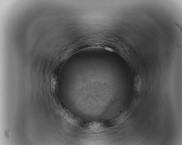 X0000102250235200808011318