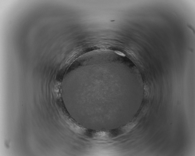 X0000102250237200808011318