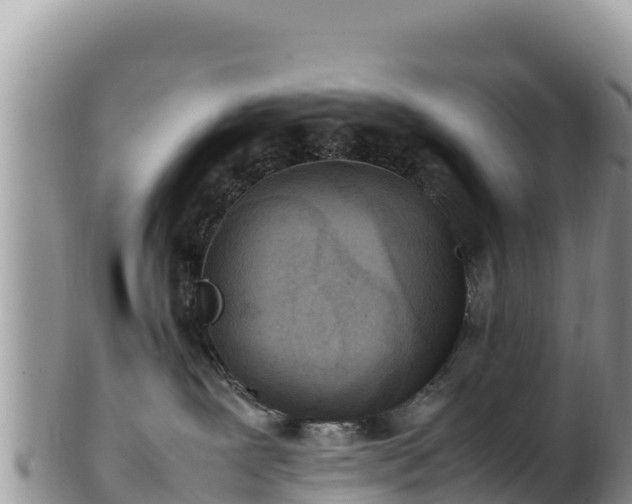 X0000102250239200808011318