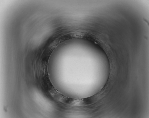 X0000102250240200808011318