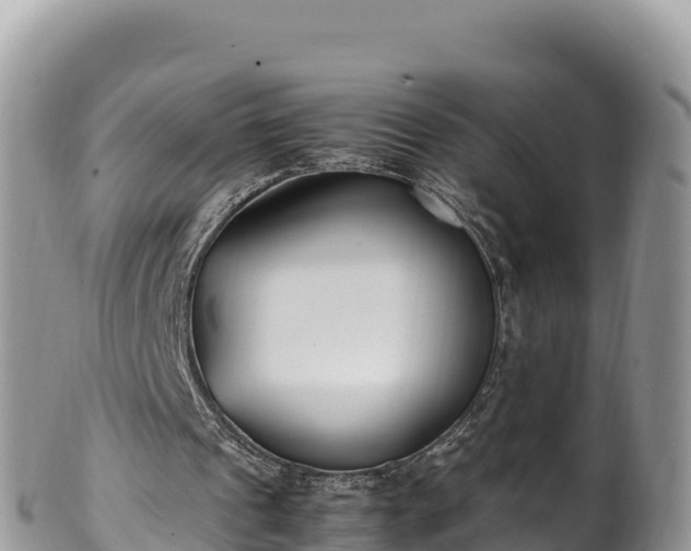 X0000102250241200808011317