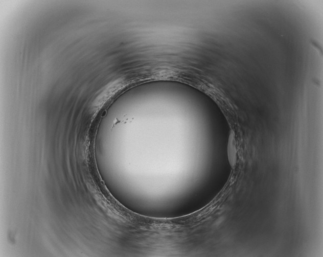 X0000102250242200808011317